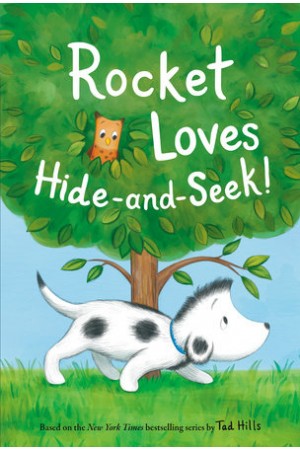 Rocket Loves Hide and Seek